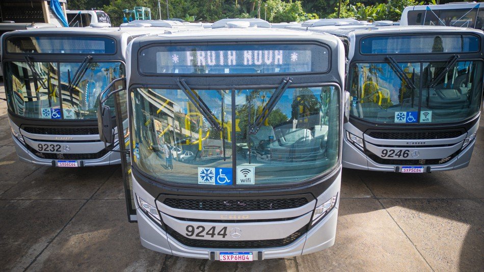 frota nova blumenau tráfego orgânico